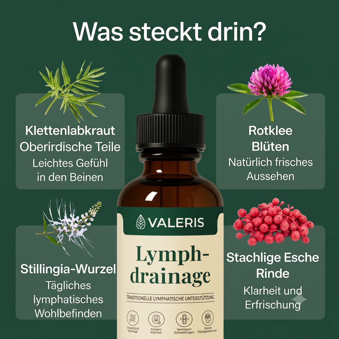 Valeris® Nahrungsergänzungsmittel für den Lymphabfluss